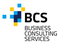 BCS BUSINESS CONSULTING SERVICES KFT. - Állás, munka