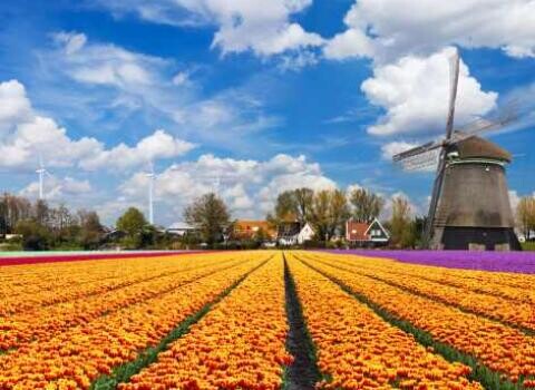 Aki nem akart külföldön dolgozni