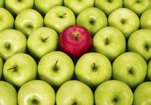 Ezen a terepen tapasztalattal előnyben - álláskeresés, karrier, szenior