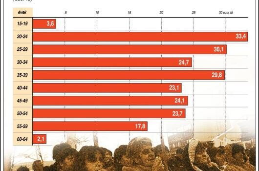 Eddig ennyi munkanélküli nőnek segítettek