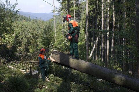 Közmunkások takarítanak majd a Balatonnál