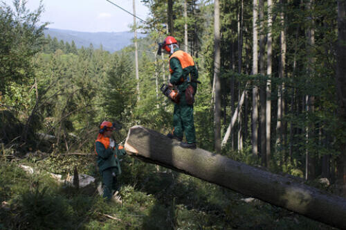 Tovább csökkenhet a munkanélküliség