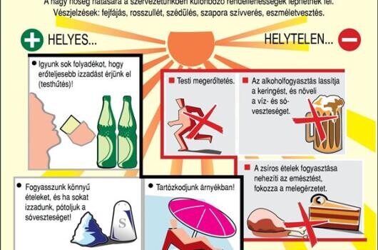 Naptejet is adtak a dolgozóknak