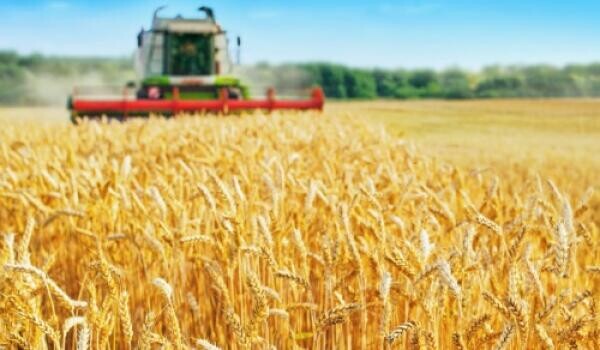 Támogatás a mezőgazdaságnak