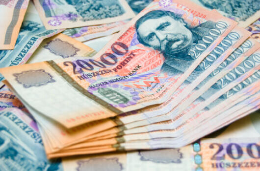 Ennyi volt a fizetésünk az idén