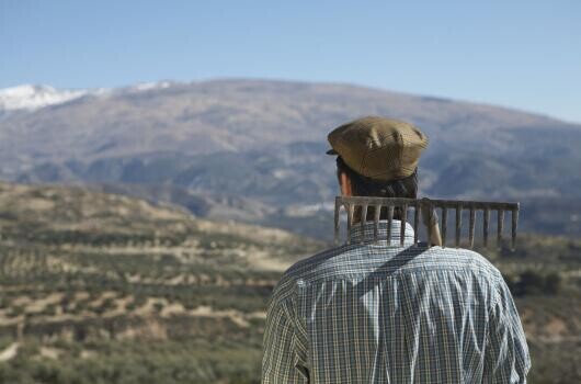 Ennyi közmunkás volt