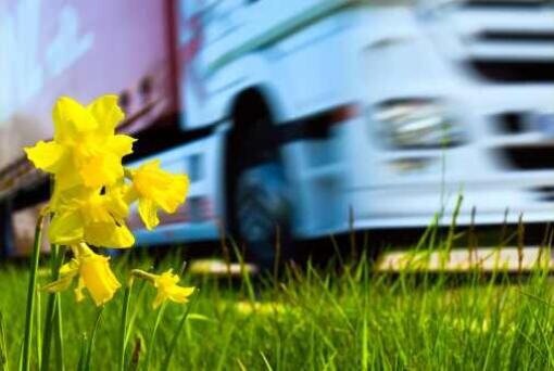 Adócsaló munkaadót fogott a NAV