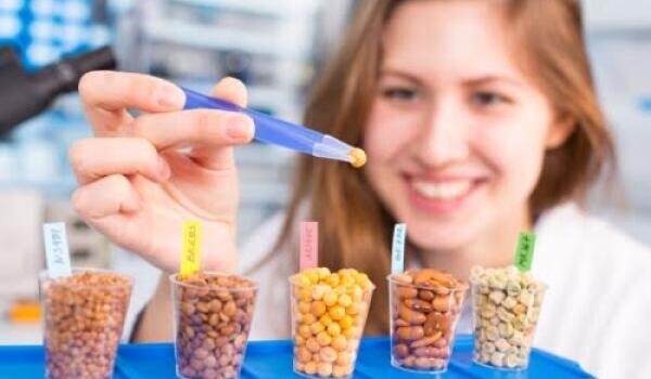 Agráripari állások