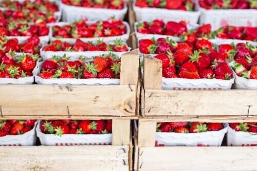 Új munkahelyek Veszprémben