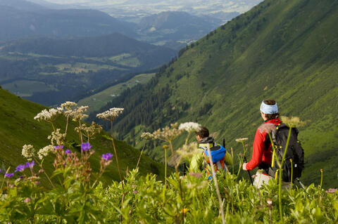 Elveheti a szabadságot a munkaadó?