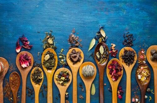 Így dolgozik a teaszakértő - munka, szakma, hivatás