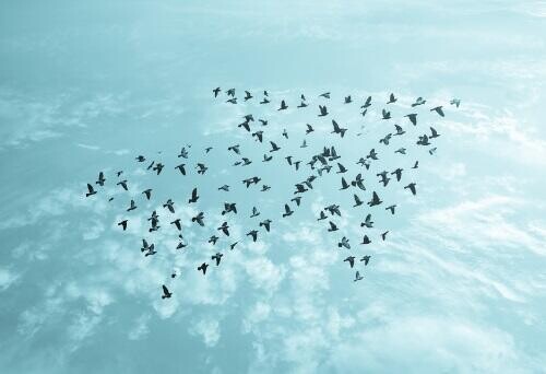 Állítsuk meg a fluktuációt! - munkahely, kiválasztás, fluktuáció