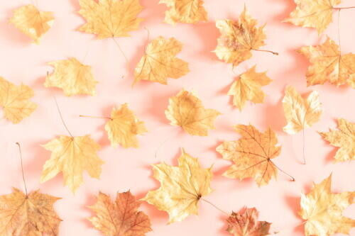 Itt van az ősz, itt van újra! - ősz, munka, visszatérés