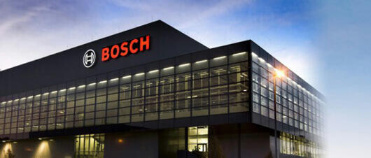 Másfél év szakmai tapasztalat, főiskolásként