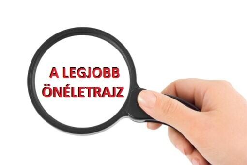 Ezt keresték a munkaadók az önéletrajzban 2014-ben