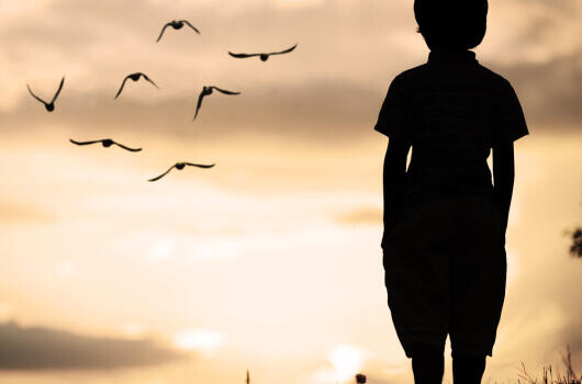 Közel 500 embert vesznek fel