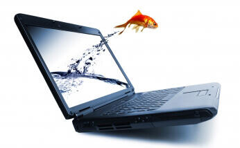 A tanácsadónak ki ad tanácsot?