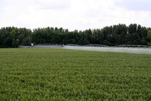 A munkahelyek megtartása a cél