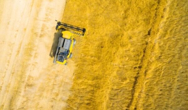 Állások az agrár szektorban