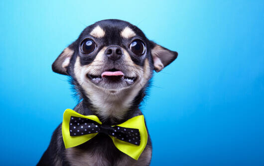 Meglepő munkára vágynak a gyerekek