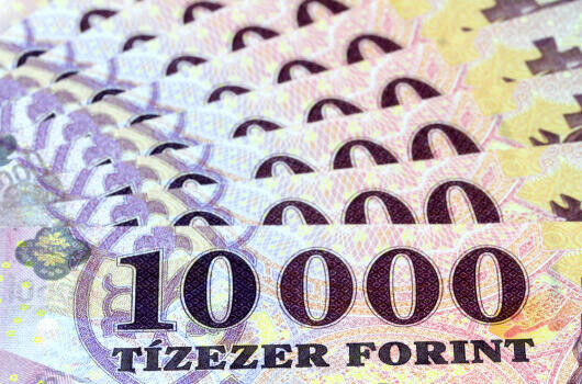 Népszavazás lehet a bérplafon bevezetéséről