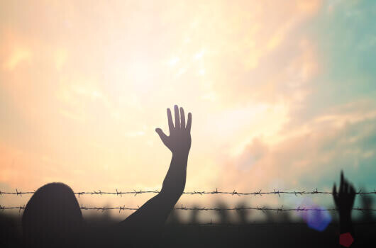 Munkát adnak a menekülteknek