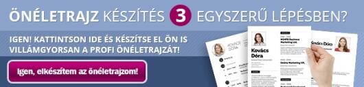 10 félresikerült mondat az önéletrajzban