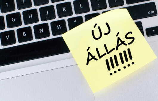 Ezek a legkeresettebb szakmák Magyarországon