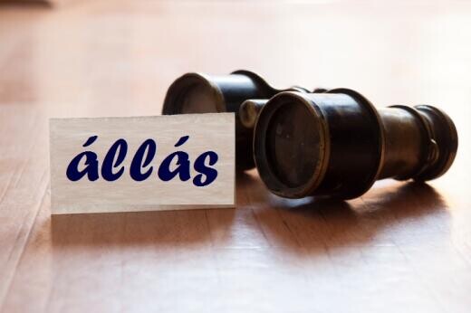 Találhattunk állást nyelvtudás és diploma nélkül is