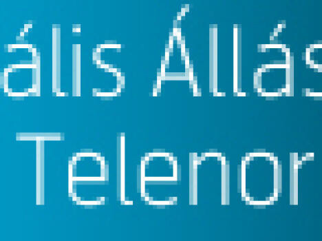 Virtuális állásbörze -  Telenor