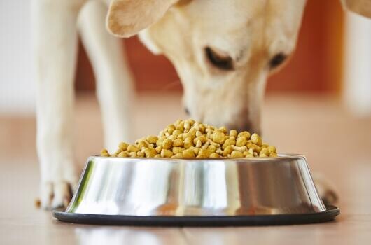 70 új munkahelyet teremtenek