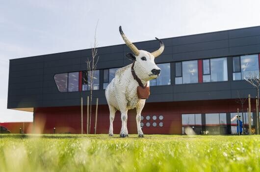 2500-zal nőtt a dolgozók száma