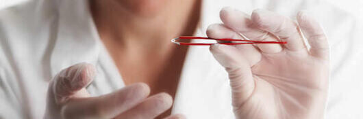 Új dolgozókat vesznek fel