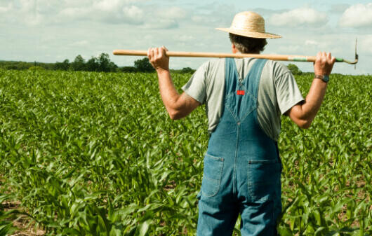 Megváltozott munkaképességűnek adnának munkát
