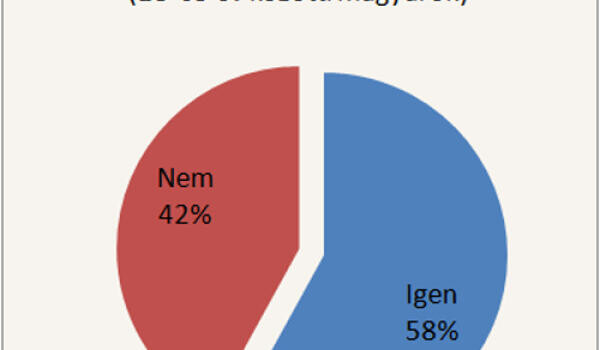 Akik játszanak a munka helyett