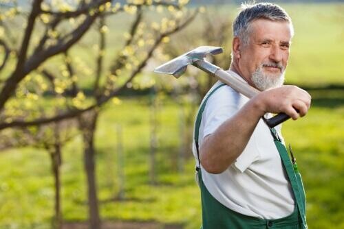 Munkahelyteremtő támogatás vállalkozásoknak