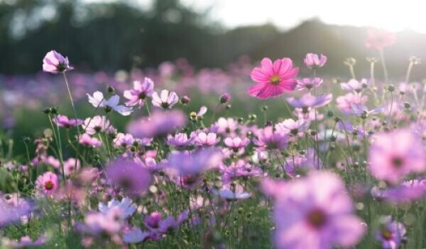 Tavaszi fáradtság helyett lendület