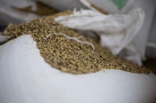 Innovatív takarmányüzem létesül Böhönyén - munka, munkahely, mezőgazdaság