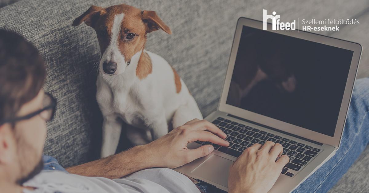 Teszt, ami nem látszik