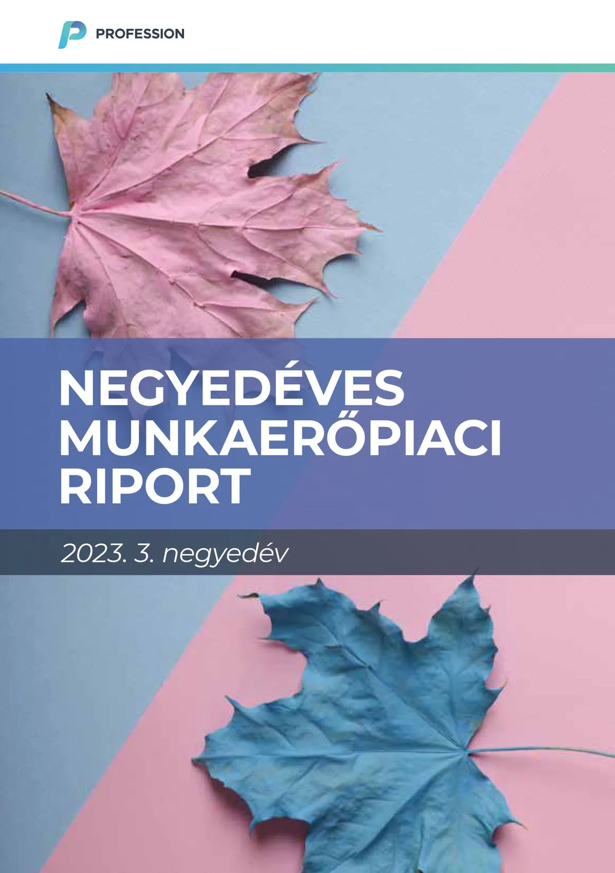 Negyedéves Munkaerőpiaci riport 2023/3 – kiadvány