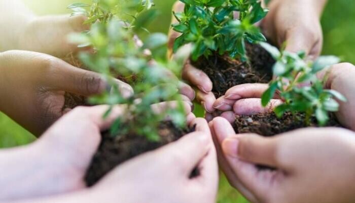 A magyarok harmada önkénteskedett már, és még többen nyitottak lennének rá