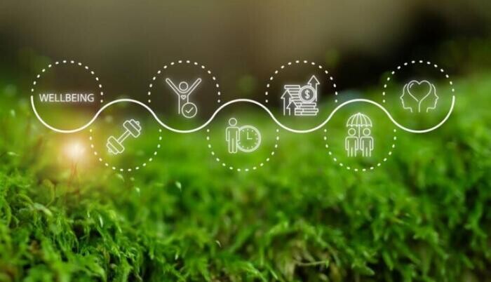 Munkahelyi juttatások: melyik éri meg a legjobban?