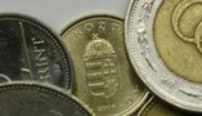 Hatezerrel növelnék a minimálbért