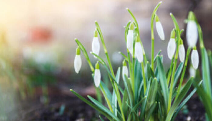 7x1 tipp, hogyan töltsük újra energiáinkat!