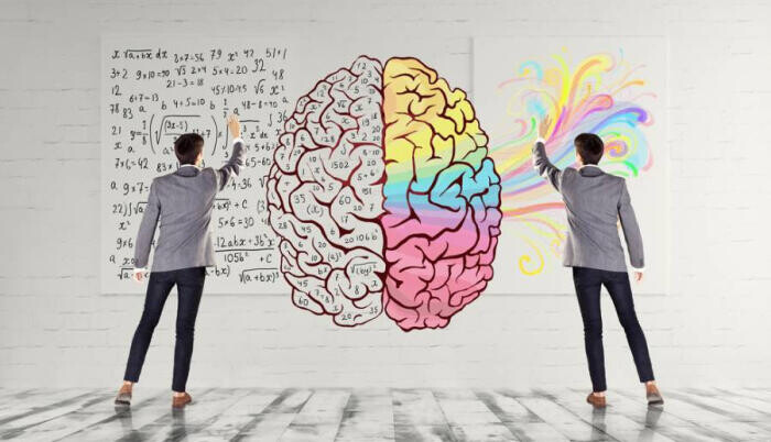 A jobb vagy a bal agyféltekénk dominál munka közben? Az agyfélteke dominanciáról