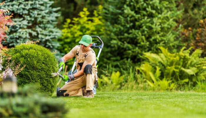 Introvertáltként a munkaerőpiacon – milyen munkák illenek hozzánk?
