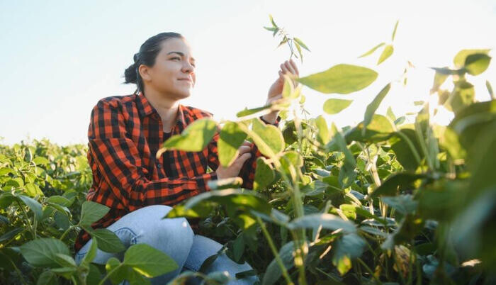 Szabadtéri munka nyáron – így éljük túl a kánikulát! – 2. rész