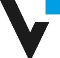 Visionsoft Üzleti Megoldások Kft. logó