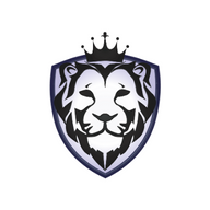 LION SAFETY Kft. logó