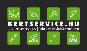 Laczkó Tibor Ákos karrier, állás és munka